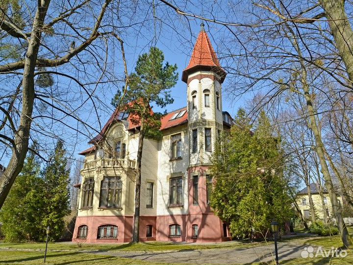 Экскурсия — Калининград — Амалиенау: модерн, истор