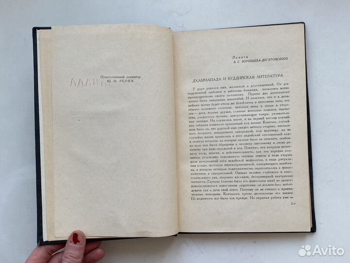 Джаммапада