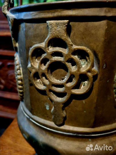 Зольник медный