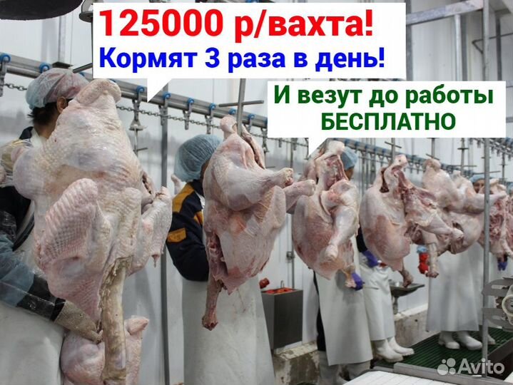 Вахта Рабочий на индейку Пенза Питание Жилье