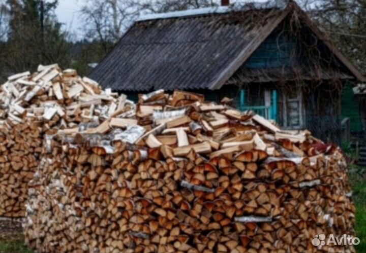 Дрова береза