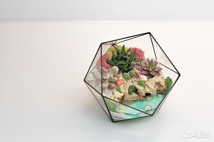 Флорариум в наличии
