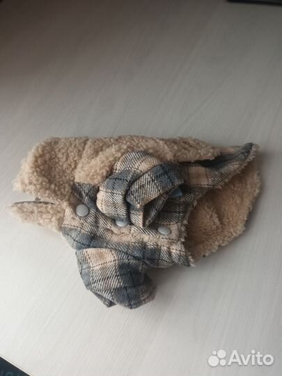 Одежда для маленьких пород собак