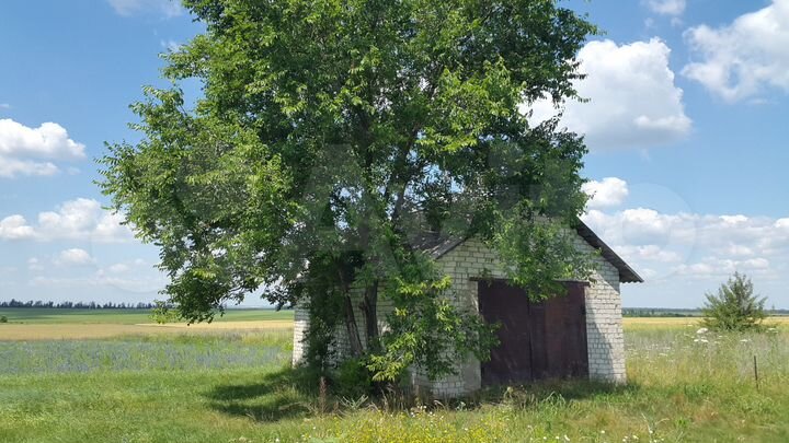 Участок 15 сот. (ИЖС)