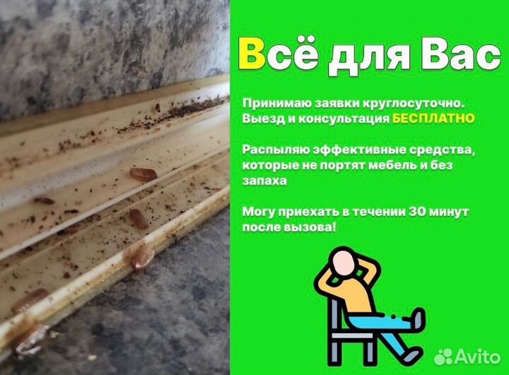 Обработка от тараканов