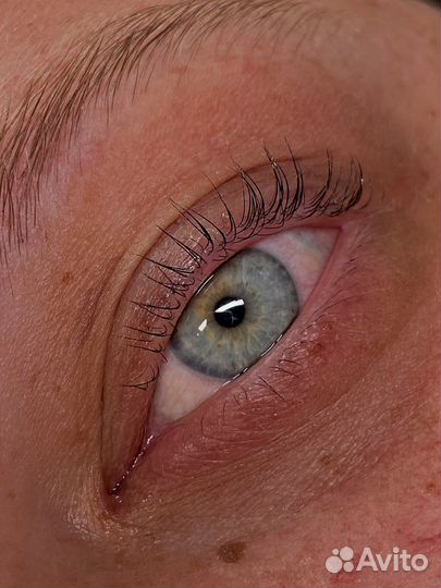 Ламинирование ресниц. Оформление бровей. Макияж