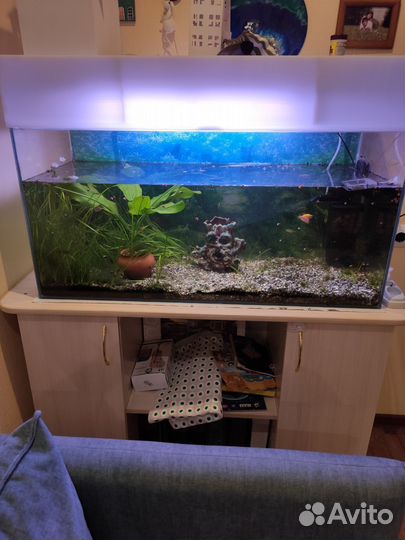Аквариум