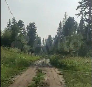 Участок 15 сот. (ИЖС)