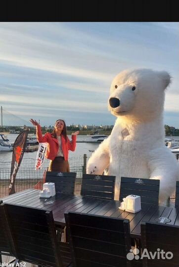 Белый мишка 2.6 Новый