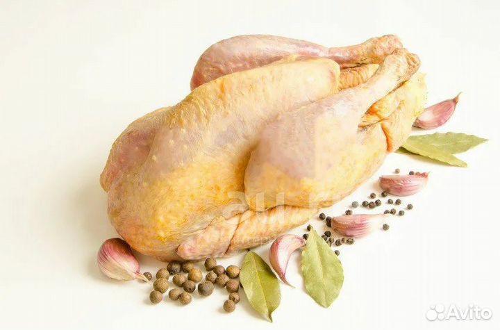 Мясо птицы