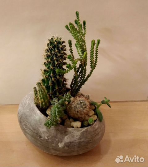 Мини - садик