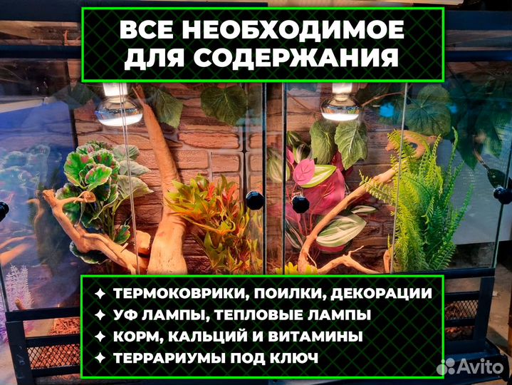 Террариумы