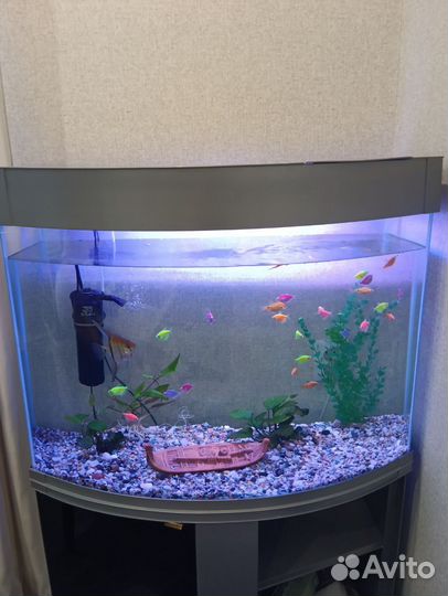Аквариум с тумбой 170