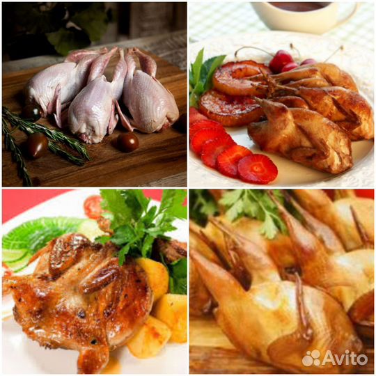 Мясо перепелов