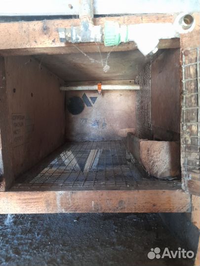 Клетка для кроликов