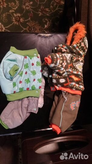 Комбенизон для той-терьера