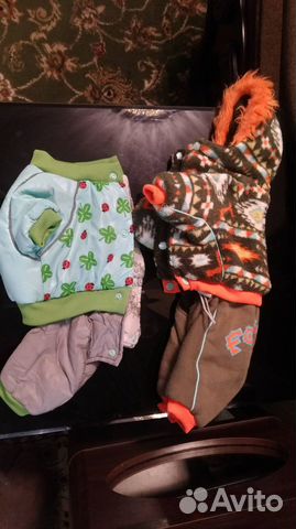 Комбенизон для той-терьера