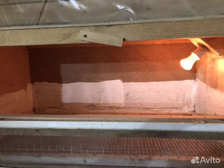 Клетка брудер для цыплят