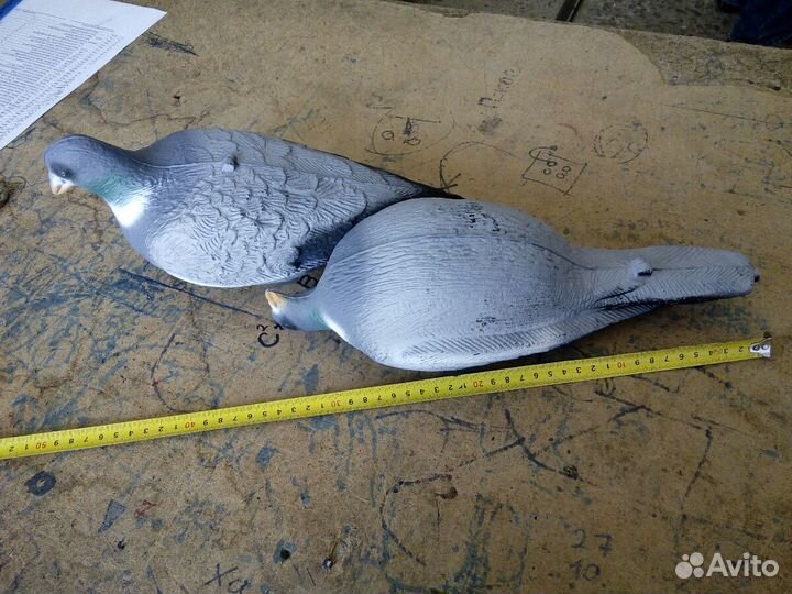 Голубь вяхерь чучело для охоты