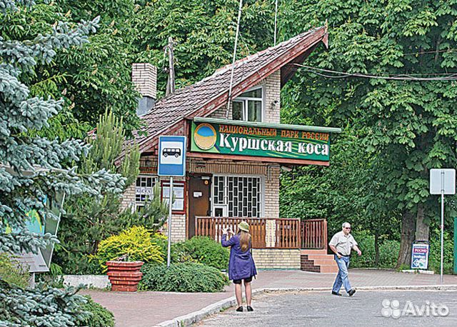 Экскурсии на Куршскую косу