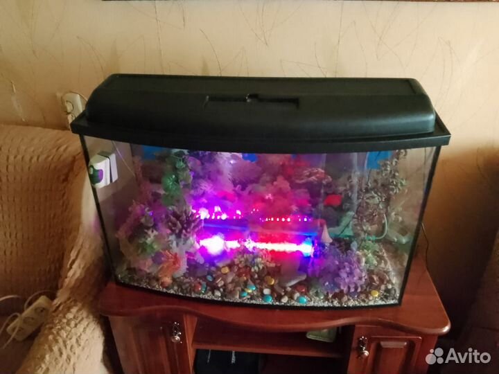 Аквариум