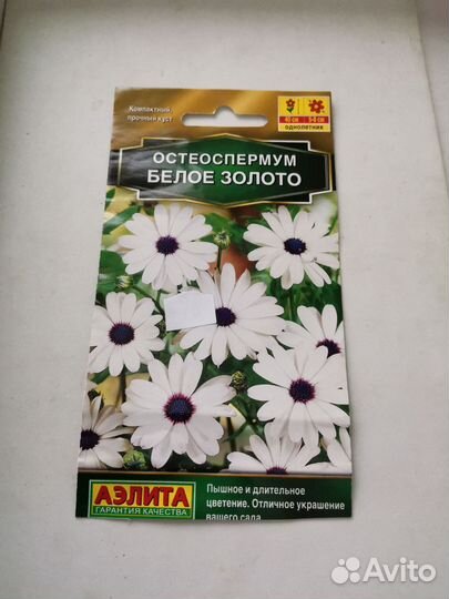 Цветы уличные