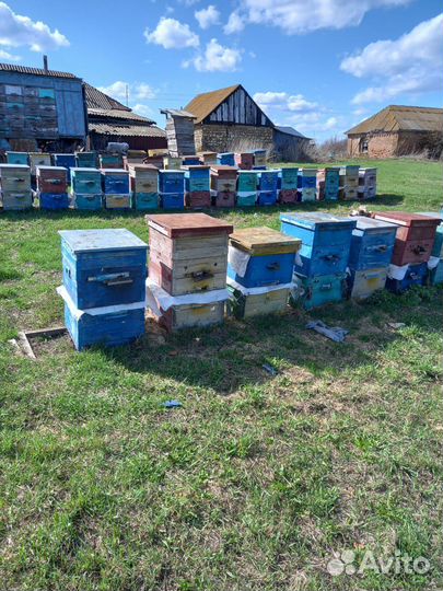 Улья, пчелоинвентарь