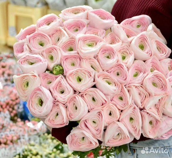 Цветы ранункулюс с доставкой