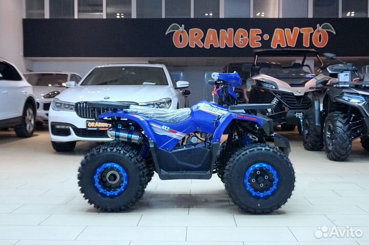 Avantis Hunter 8 New