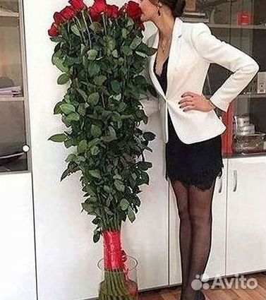 Высокие розы Гигантские розы с доставкой