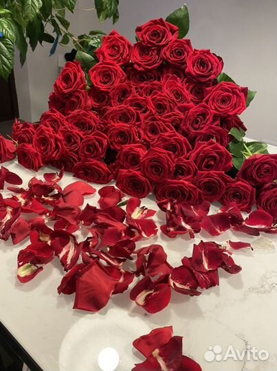 Розы букет 51 роза высокие