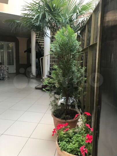 1-к. квартира, 32 м², 1/2 эт.