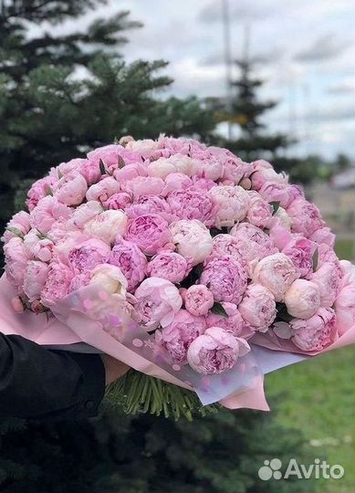 Пионы Букет пионов