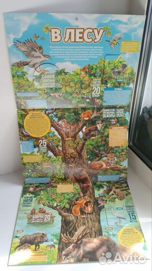 Развивающие пособия для детей