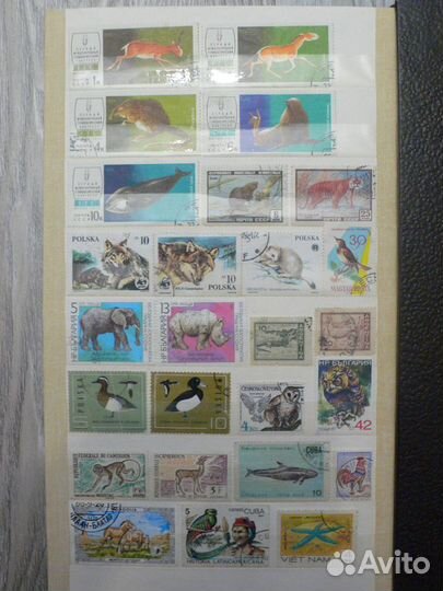 Марки про Животных (70 шт) +(18 шт про природу)