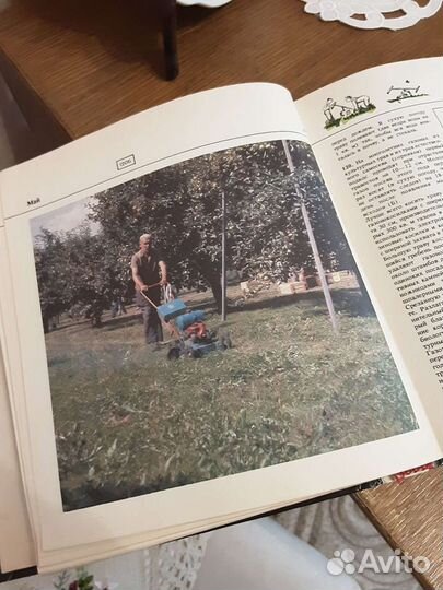 Книга Приусадебный сад