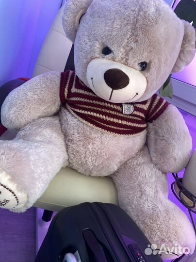 Плюшевый медведь