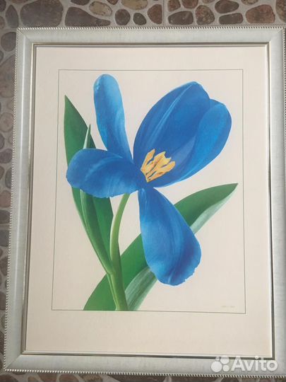 Картина ирис 35х45