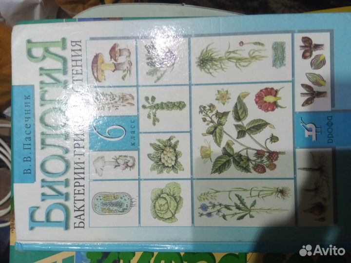 Учебники младшей и средней школы