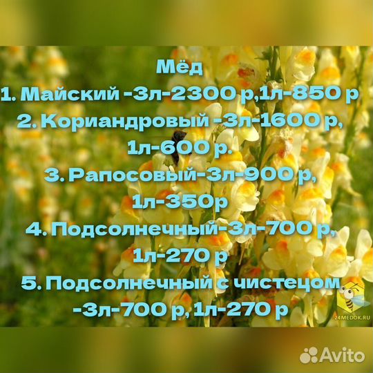 Майский мед 2023