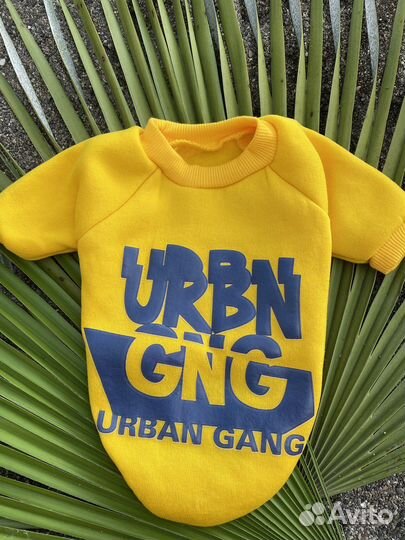 Одежда для маленьких собак