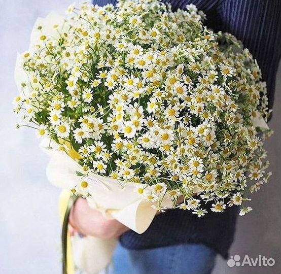 Цветы ромашки. Букеты ромашек. Цветы доставка