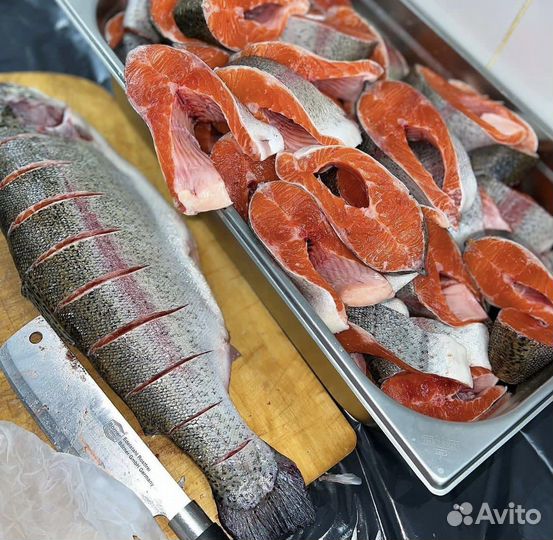 Живая форель