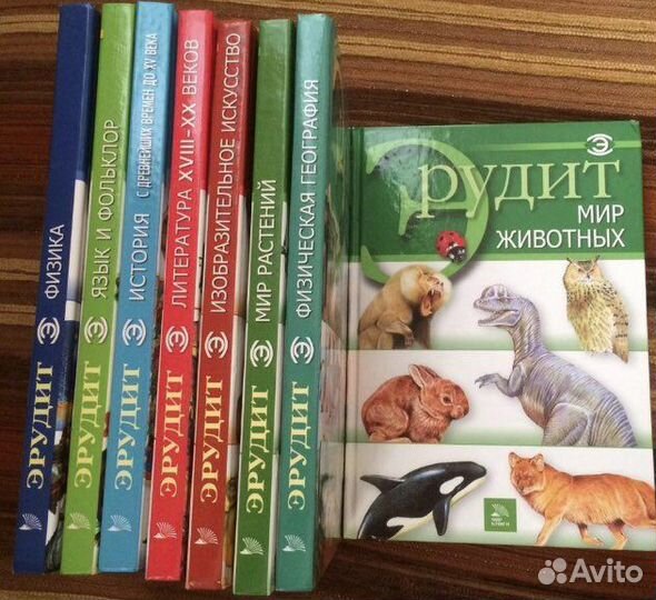 Серия Эрудит