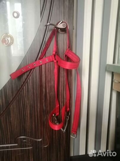 Уздечки, недоуздки, вожжи, ошейники