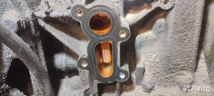 Двигатель пежо ew10/0