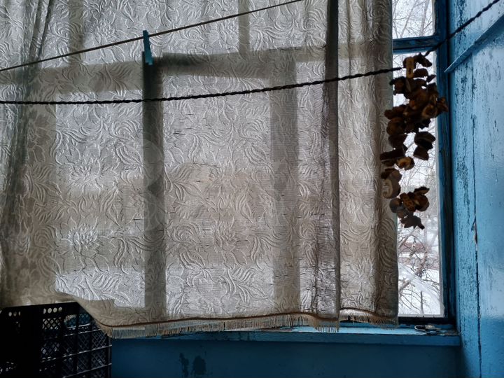 2-к. квартира, 54,6 м², 2/5 эт.