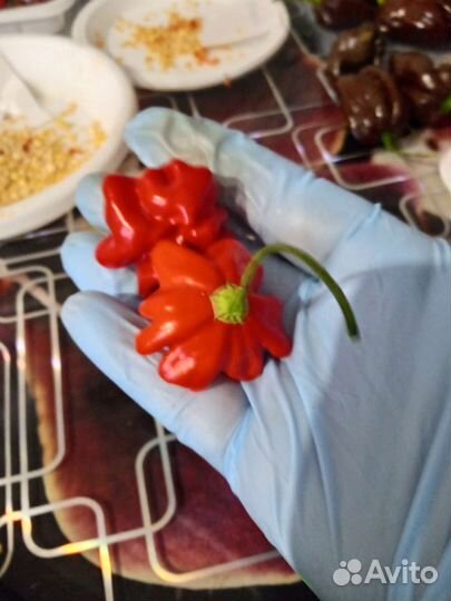 Семена острых перцев