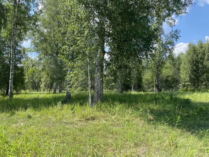 Участок 10 сот. (СНТ, ДНП)