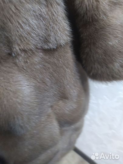 Шуба норковая автоледи Р 52